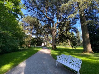 Arboretum (Tree Collection or Baumsammlung), (Flower Island Mainau on the Lake Constance or Die...