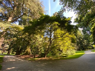 Arboretum (Tree Collection or Baumsammlung), (Flower Island Mainau on the Lake Constance or Die...
