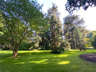 Arboretum (Tree Collection or Baumsammlung), (Flower Island Mainau on the Lake Constance or Die...