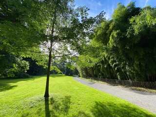 Arboretum (Tree Collection or Baumsammlung), (Flower Island Mainau on the Lake Constance or Die...