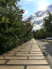 Steinmauer zum Horizont 