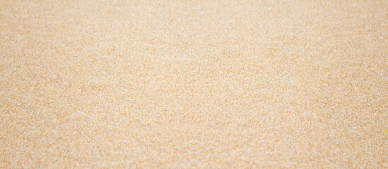 Fototapeta na wymiar Sea sand background banner, natural texture
