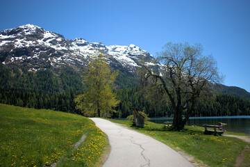 Fototapeta na wymiar See und Bergpanorama in Sankt Moritz in der Schweiz 27.5.2020