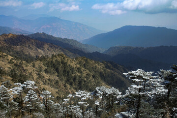 snow covered mountains