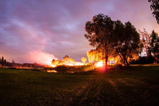 Red colored groundfirework glowing beside a tree behind a meadow