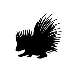 Porcupine silhouette vector illustration. Zoo sign.