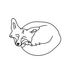 Sleeping fox vector illustration. Hand drawn icon.