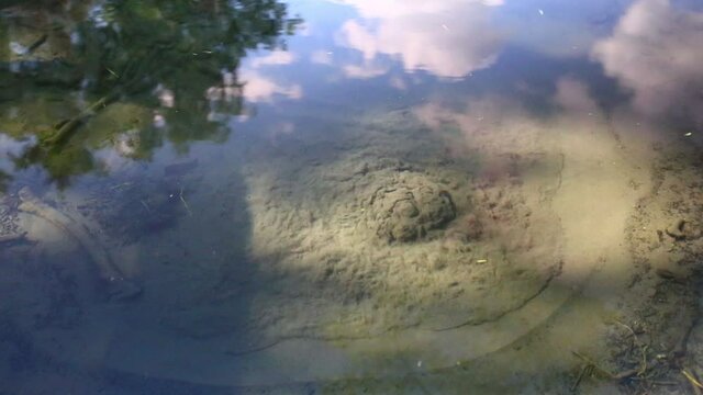 Abstract view of drinkable erupting fresh water source in nature. Natural crystal clear water comes from underground and makes the sand boil. Boiling sand pure water stream in nature