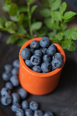 close up top view orange jar with blueberries on dark background with green leaves 