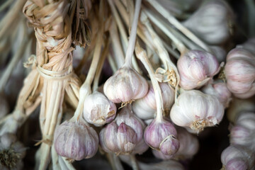 A bunch of Garlic produce which is sale in local market. This is famous ingredient for Asian cooking food. Close-up and selective focus at garlic's part in the center of photo.