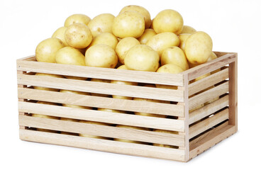 Wooden box with young potato isolated on white background