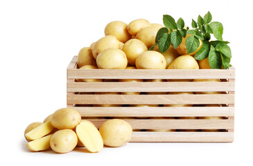 Wooden box with young potato isolated on white background