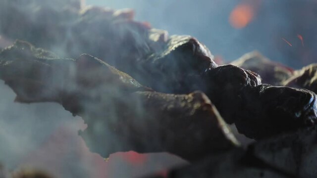 Food Cooking Closeup. Meat On Grill At Barbecue Restaurant, Grilling On Skewers At Charcoal Grill