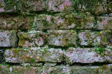 Brick wall with moss growing out of it.Old brick wall overgrown with moss. Wall with traces of destruction.