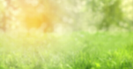 Fototapeta na wymiar grass field blurred spring or summer and abstract nature background with sunlight