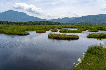 初夏の尾瀬