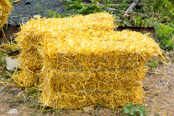 hay bale in the field