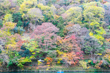 colorful leaves mountains and Katsura river in Arashiyama, landscape landmark and popular for tourists attractions in Kyoto, Japan. Fall Autumn season, Vacation,holiday and Sightseeing concept