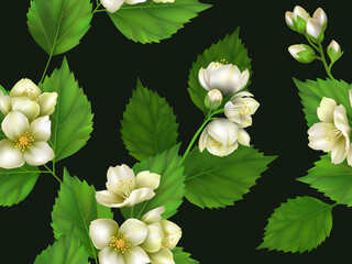 Seamless pattern with Jasmine. Realistic vector illustration. Floral ornament. - 366304663