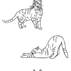 Hand drawn digital line art pattern with cats.