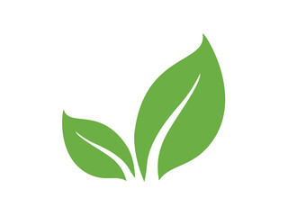 Vector leaf icon. Plant icon.  Green leaf illustration. 