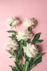  Flat lay with white peonies on the pink background