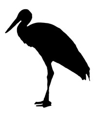 Animal. Bird. Black silhouettes of White stork isolated on a white background