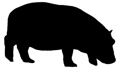 Animal. Black silhouettes of hippopotamus isolated on a white background