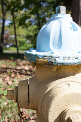 Blue and Yellow Fire Hydrant Closeup 