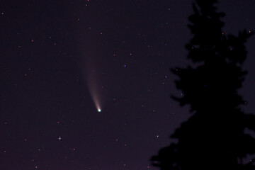 Comet C/2020 F3 Neowise on the nightsky over Kiel in Germany