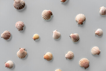 Fototapeta na wymiar Pattern of Different seashells on pastel gray background. Top view, flat lay. Summer concept. Sea summer vacation background. Full frame composition