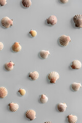 Pattern of Different seashells on pastel gray background. Top view, flat lay. Summer concept. Sea summer vacation background. Full frame composition