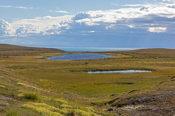 Fototapeta na wymiar Polar tundra landscape with spectacular view of Barents sea. Short summer in Finnmark, Norway
