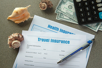 Insurance concept. Travel and Accident Insurance. Insurance policy andturtle