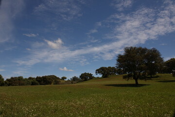 Planície Alentejana 