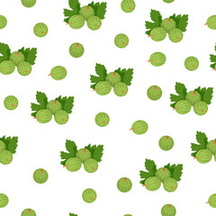 Seamless pattern with gooseberry berries. White background, isolate. Vector illustration