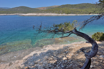 ROCKY COASTLINE AND WILD BEACHES ON THE ISLAND OF VIS IN CROATIA. 