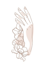 Beautiful female hand and flowers. Manicure, care, natural cosmetics, spa. Linear drawing in a minimalist modern style. Simple vector illustration. Beauty salon, body care cosmetics, hydration.