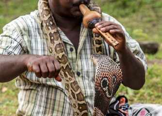 Snake charmer pungi or been is played by cobra charmers