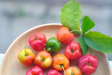 Acerola, Barbados Cherry,
West Indian Cherry or Wild Crapemyrtle