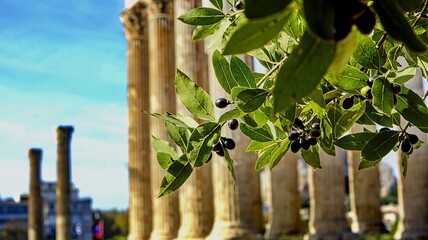 Selective focus shot of the olive tree with columns in the background in Athens, Greece