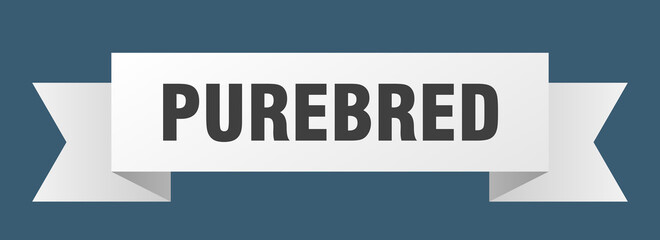 purebred ribbon. purebred paper band banner sign