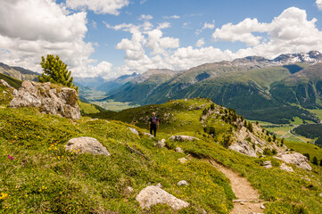 Corviglia, Oberengadin, Stazerwald, Muottas Muragl, Piz Muragl, Val Muragl, Wanderweg, Wanderer, Pontresina, Alpen, Bernina, Val Bernina, Inn, Inntal, Graubünden, Sommer, Schweiz
