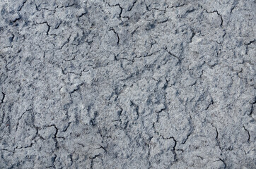 Gray cracked earth texture. Surface of a grungy dry cracking earth for your design.