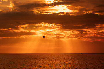 Fototapeta na wymiar Parachute flies over the sea at sunset