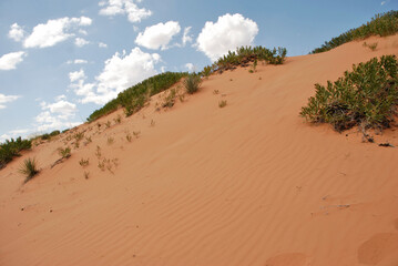 Coral Pink Sand Dunes State Park