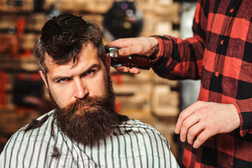 Fototapeta premium Bearded brutal hipster getting hairstyle. Male hairstylist serving client. Barber making haircut using machine and comb. New perfect style.