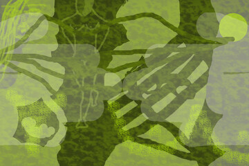 women military camouflage background