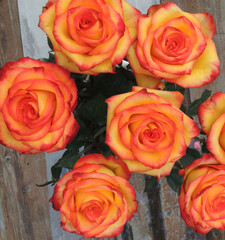 very beautiful roses in a bouquet.flowers for a birthday.