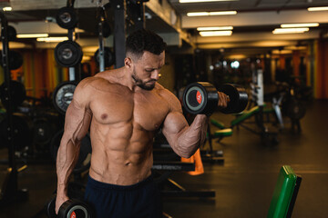 Fototapeta na wymiar A beautiful bodybuilder admires his strained muscles holding a heavy dumbbell in the gym. Nerves came out. Six cubes of press 